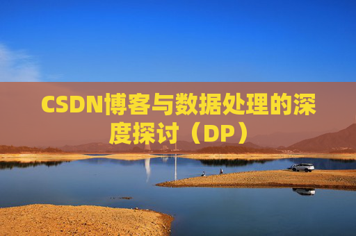 CSDN博客与数据处理的深度探讨（DP）